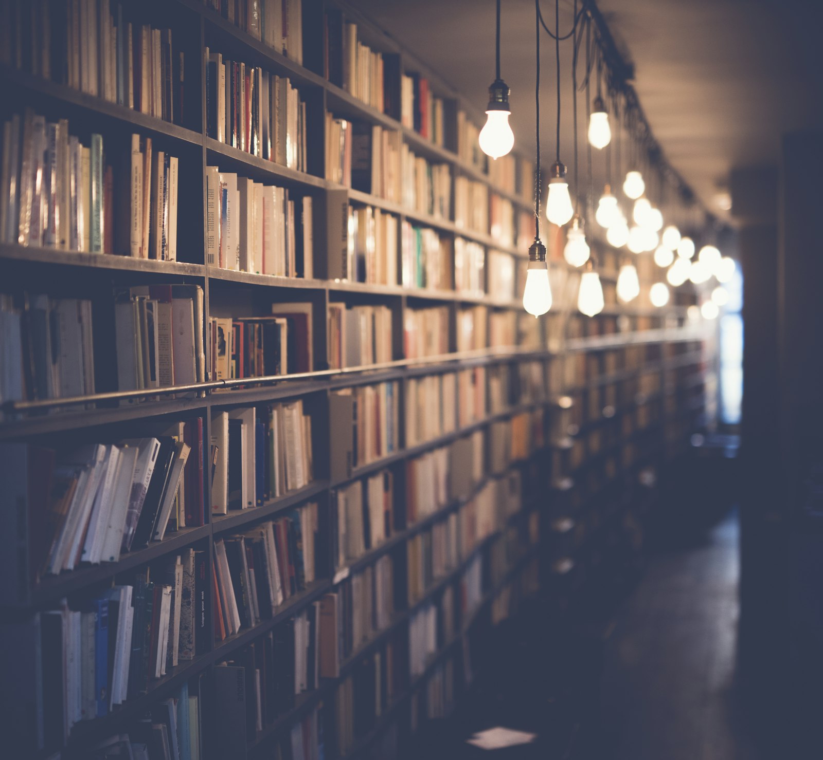 Stacks of books in warm light. Dog Ear.