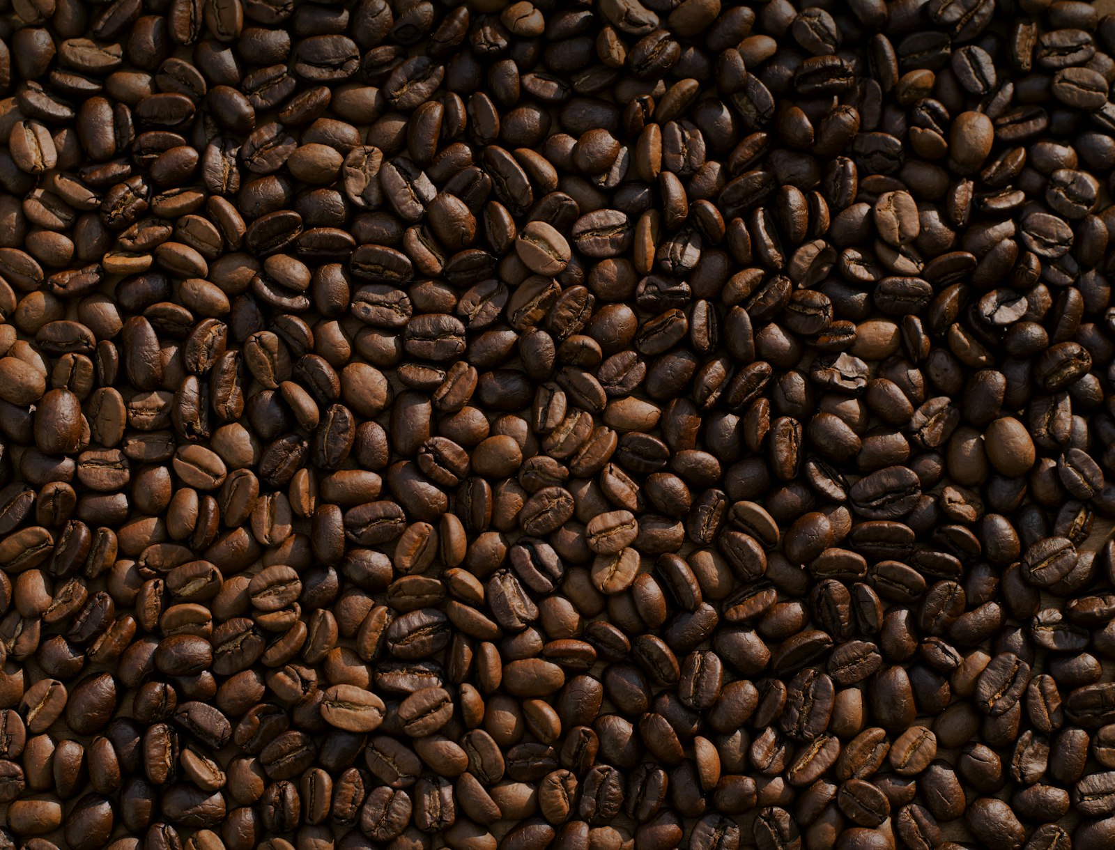 Coffee beans in a scoop. First Crack.