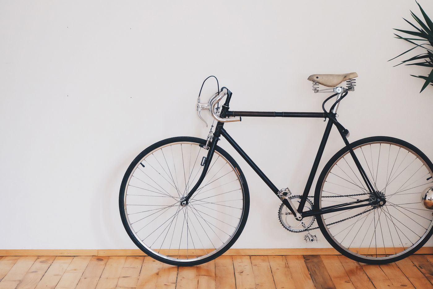 A bicycle wheel and gears. Spoke Count.