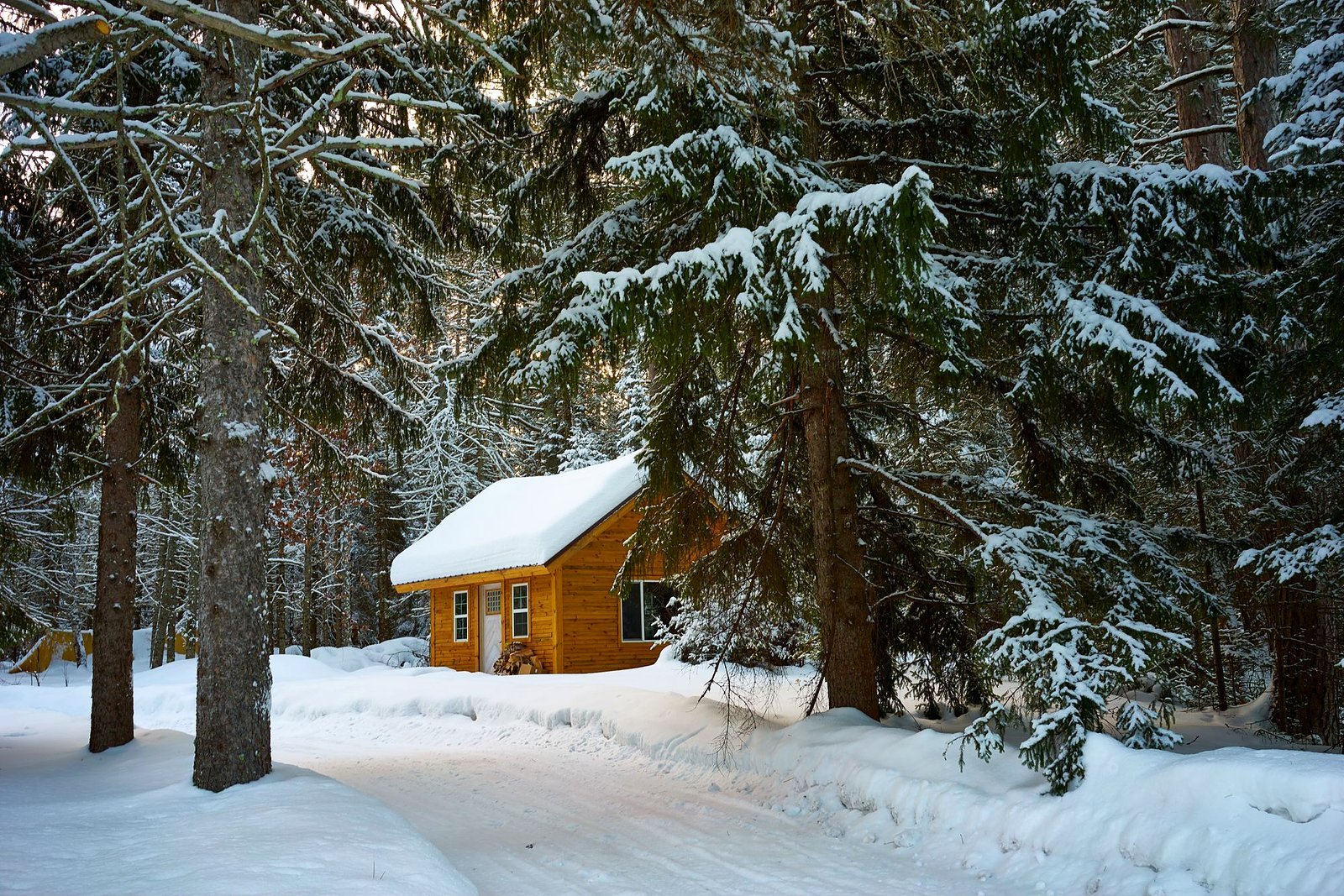 Warm wooden cabin glowing at the end of a snowy forest path.