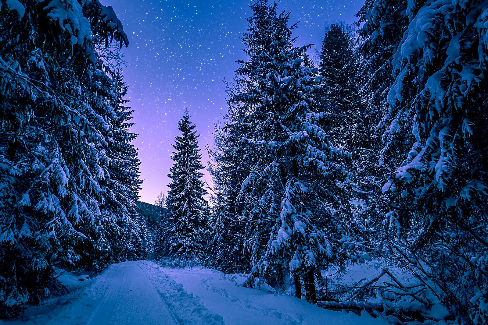 Starry night over a snow-covered forest road.