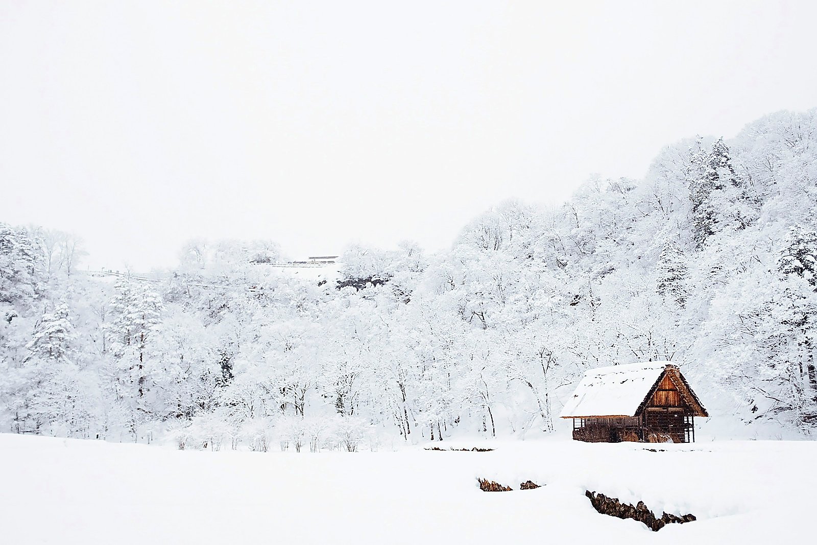 Small snow-covered cabin under a frosted hillside.